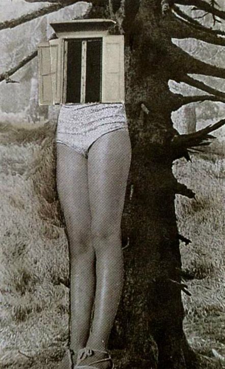 grigiabot:    Karel Teige  