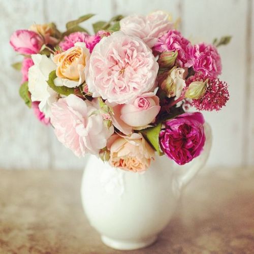 katysflowersandantiques:    David Austin roses by Georgianna Lane     I LOVE LOVE LOVE David Austin roses!!!! 😍😍😍 💜💜💜 