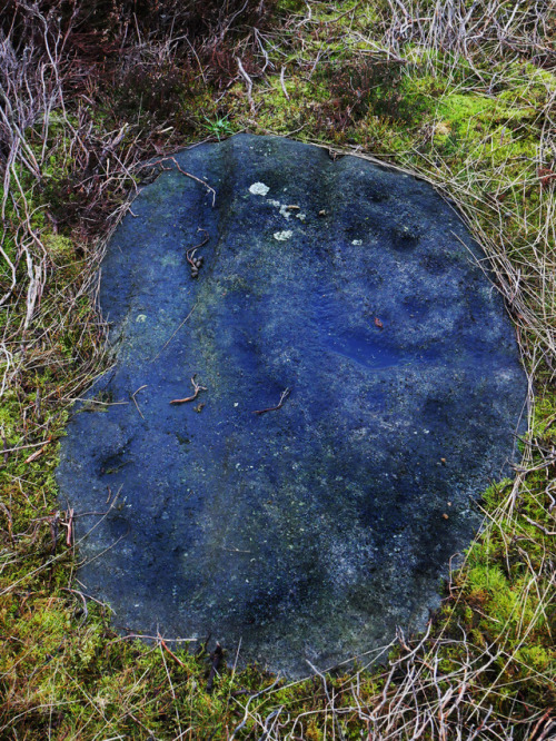 ‘Second Idol’ Bronze Age Rock Art, Ilkley Moor, Yorkshire, 24.12.17.A new site for me; this stone ha