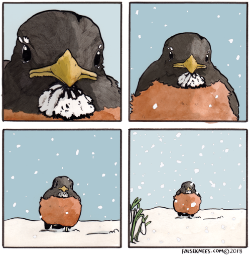 space-fey:falseknees:And that was Charlie with the weather, thanks Charlie!GUYS HOLD EVERYTHINGI kno