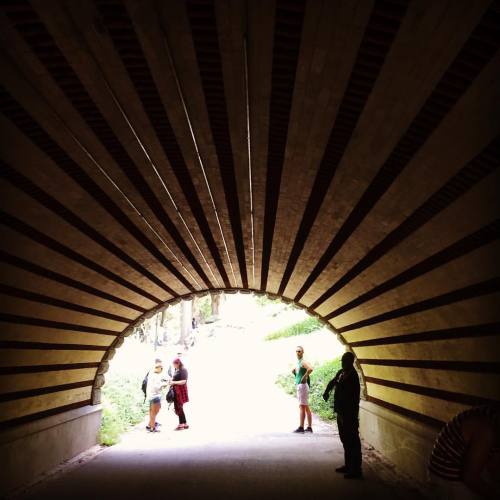 Playmates Arch, Central Park, NYC #usaroadtrip #nyc #centralpark #playmatesarch