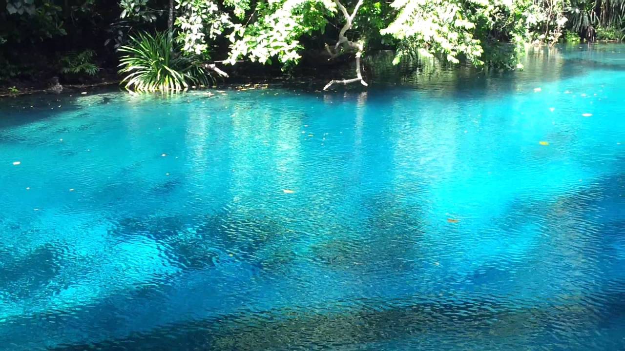 sixpenceee:Blue Holes in Espiritu Santo Island. They are located just west of Fiji.