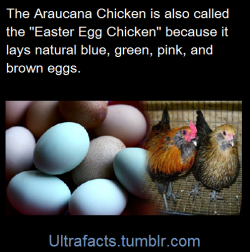 ultrafacts:  Source  For more facts, follow Ultrafacts 