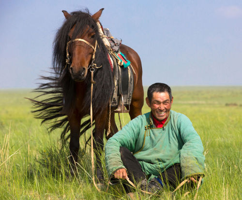 horsesarecreatures:Mongolian Horses - Batzaya Photography