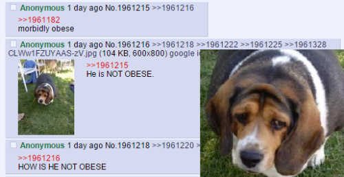 themeoftara:i’m tired and i can’t stop laughing at this guy who’s on /an/ trying to get info on how 