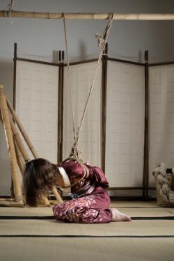 kinbaku-bondage:  higyaku-no-miki:  すてきな和の雰囲気ね縛られてるのは、誰だろ？しりたい