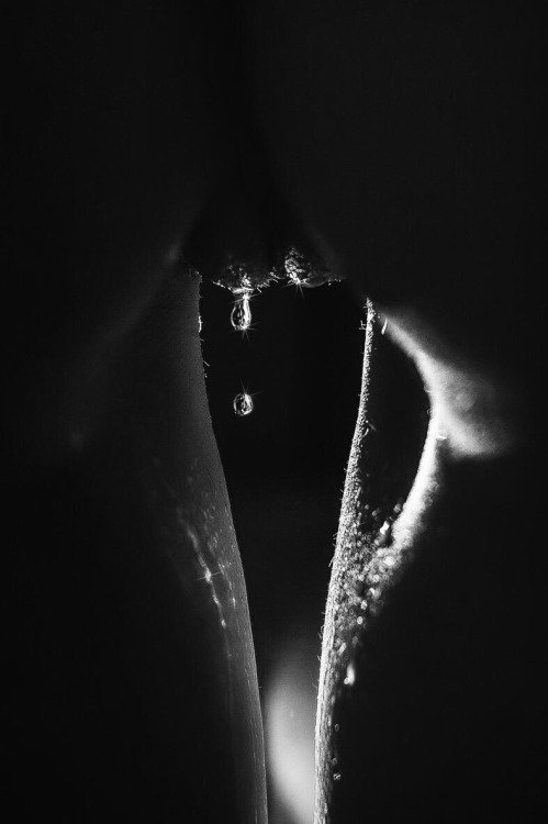 oblivious-you:  Follow my blog and click on the #tags (#xxxxx). Check my archive on oblivious-you.tumblr.com/archive 