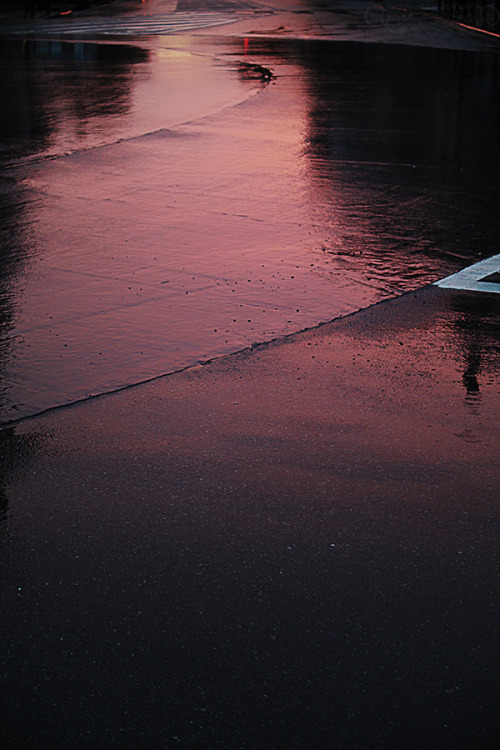 Et parfois malgré la pluie, on peut voir la vie en rose.