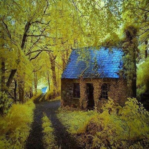 This cottage in Yellow Forest, Stradbally Ireland
