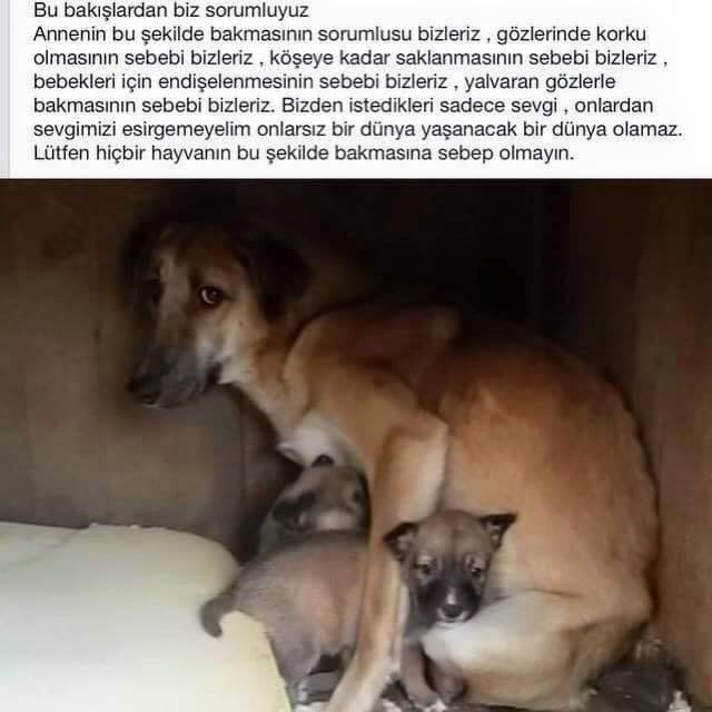 Bi Parça Gökyüzü