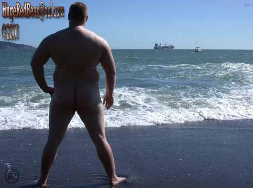 thebigbearcave:  Huge Thick Ginger Bear 