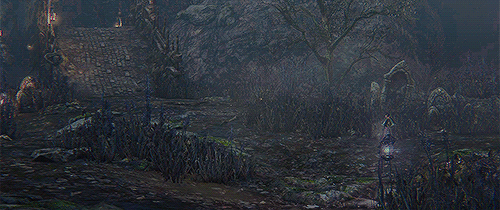 perishx:  ➳ Forbidden Woods  