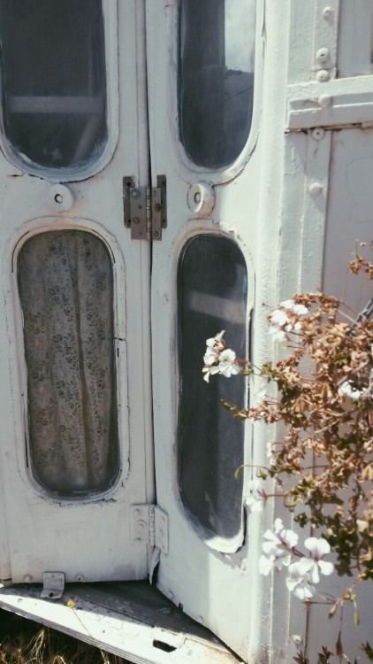 cloudsandgalaxies: abandoned bus I saw today