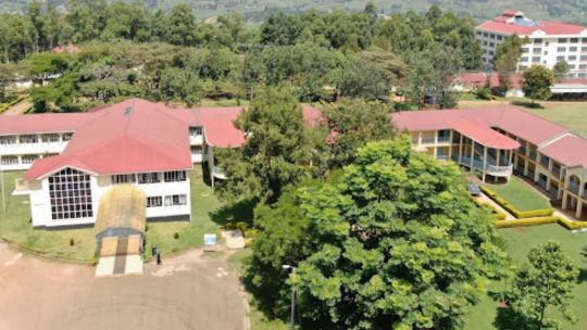 Universities Grapple with Budget Shortfalls: Rongo University Lays Off 137 Employees