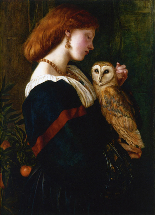 lionofchaeronea:The Owl, Valentine Cameron Prinsep (1838-1904)
