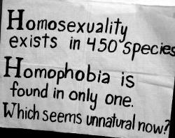 all-things-brightt-and-beautiful:  Homophobia