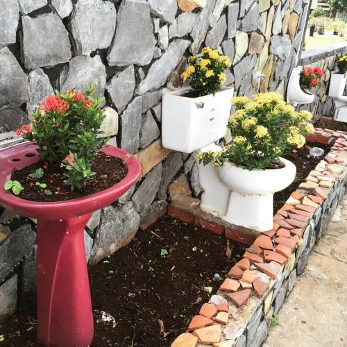 Should be easy to water these plants #flowers #pottery #repurposed (at Nhà thờ Đức mẹ Bãi Dâu, Vũng 