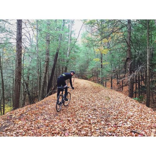 thebicycletree:  by donalrey ift.tt/1OPYStZ