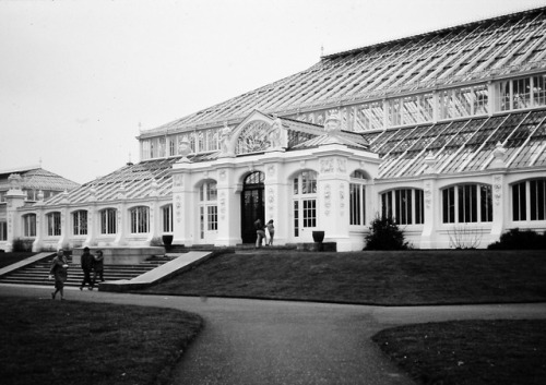 Glass House, Kew Gardens, London, 1971.