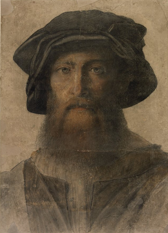  (Attributed to) Timoteo Viti, Portrait of a bearded man (c. 1520)  