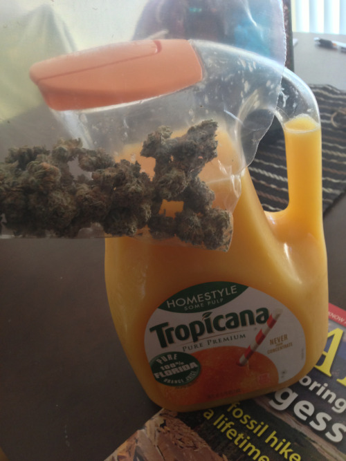 kushh420:  Best way to start the morning