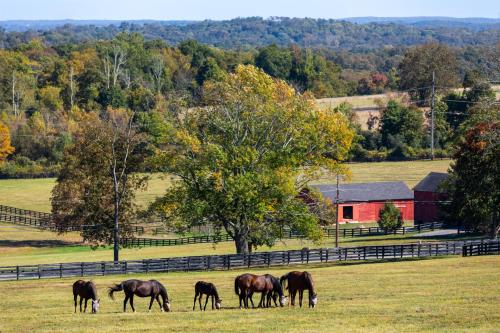 Stonewall Farm - Westchester, NY (for sale)Fun fact: the seller is the co-founder of Calvin Klein 