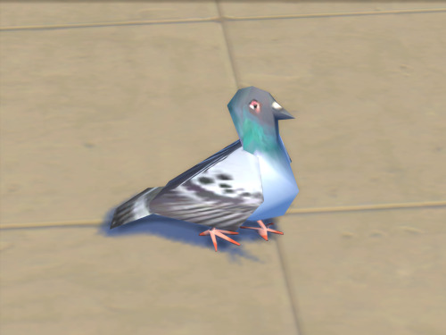 Porn photo an-eel:i love this low poly pigeon 