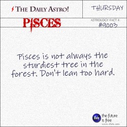 dailyastro:  Pisces 9003: Check out The Daily