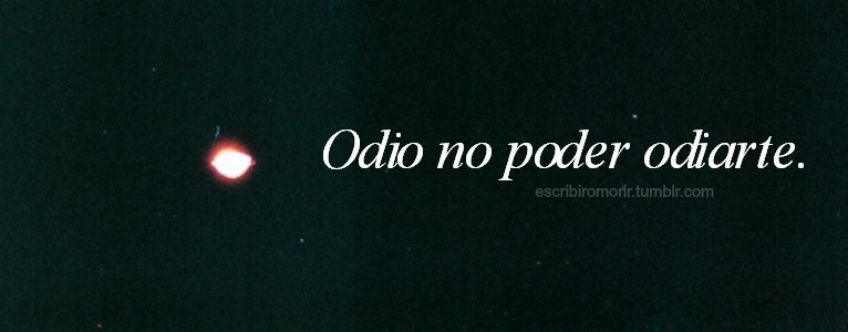 lo-que-nuncadire:  aun te amo por la cresta weon :