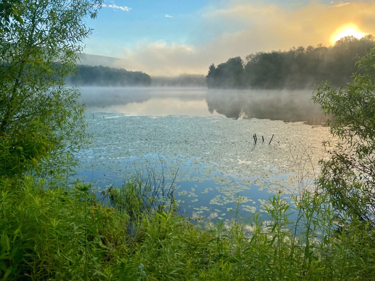 geopsych:I walked on the lake path again at sunrise.