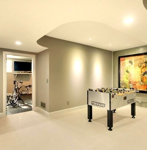 Underground Basement MinneapolisMid-sized Trendy Underground Carpeted Basement Photo With Gray Walls
