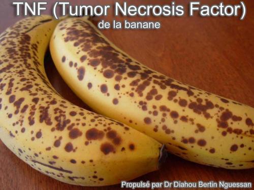 Les bienfaits des bananes bien mûres “La banane mûrit avec des taches sombres sur la peau. Ces