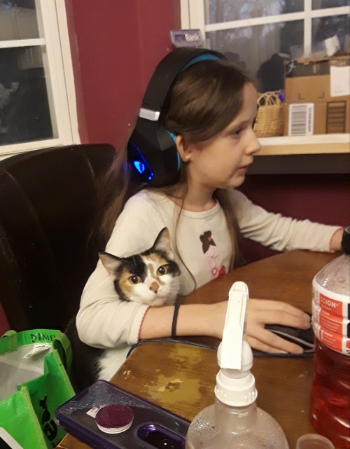 snicker likes watching my little sister play games on her computer.