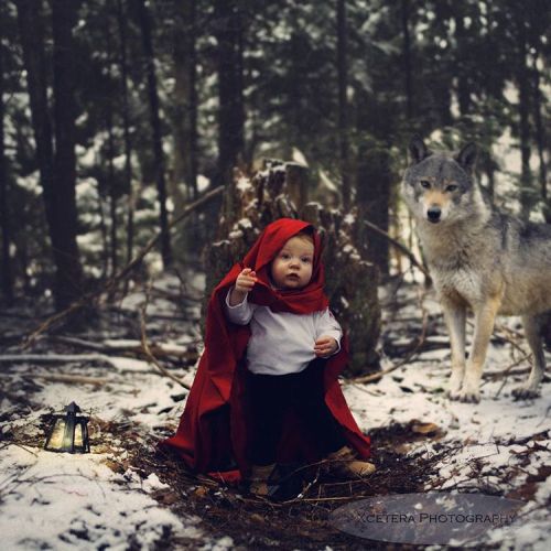 Klarah, the Red #littleredridinghood #forest #wolf #lantern #britishcolumbia #okanogan #canada #conc