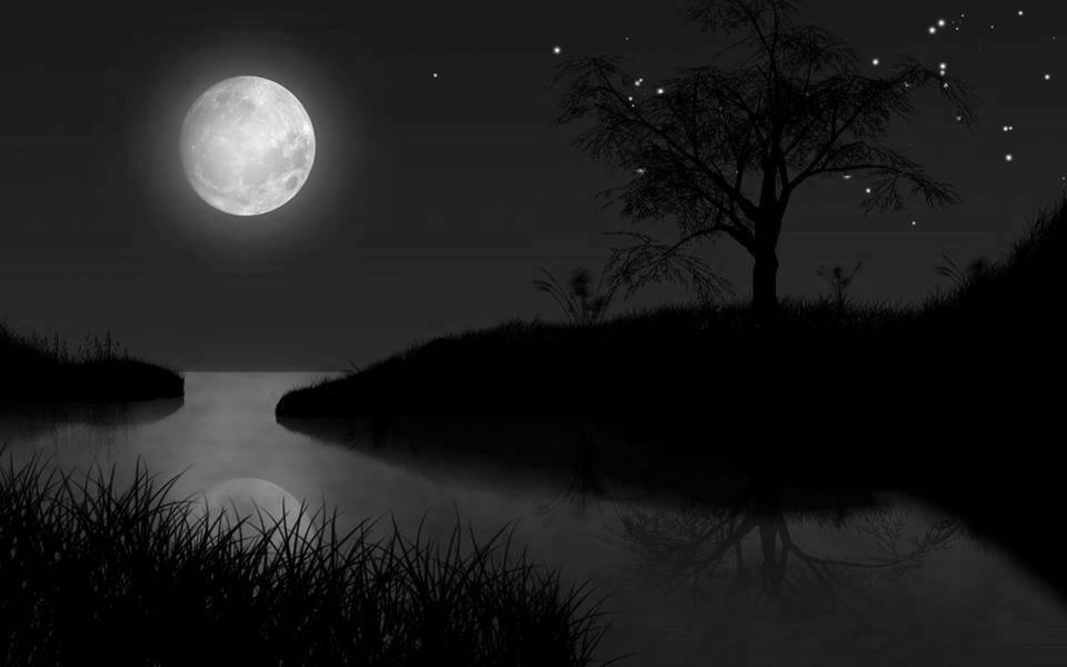 Elegy for a Dream