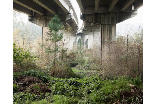 halfreaction:paul gaffney, from we make the path by walking: www.newyorker.com/culture/photo-