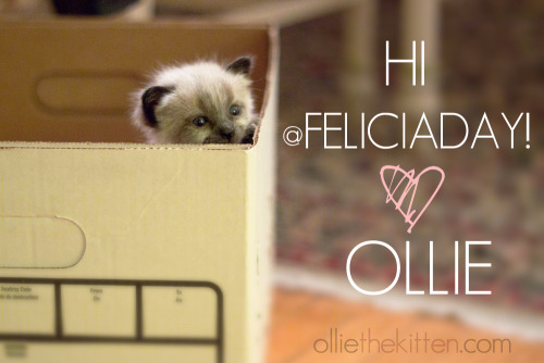 Hi @FeliciaDay, &lt;3 Ollie!Thanks for posting this photo (Bottle Fed) on your Twitter, Felicia!