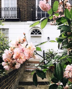 fleur-aesthetic:instagram | thatgirlfleur 