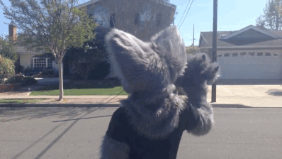 I will defend furries to my grave!