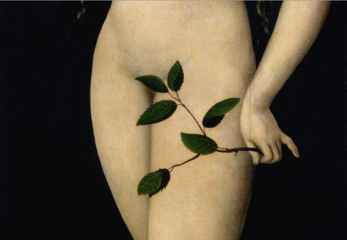 nobrashfestivity:Lucas Cranach, the Elder, Adam and Eve, 1526 (details)
