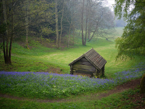 the-secret-war: homeintheforest: Log cabin by éric on Flickr. Paradise…