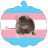 nairdde32:heckyeahponyscans:boymouse:pony tales is truly a lost treasure I WAS NOT