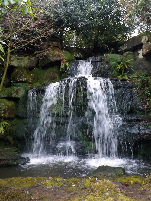 Hever Gardens