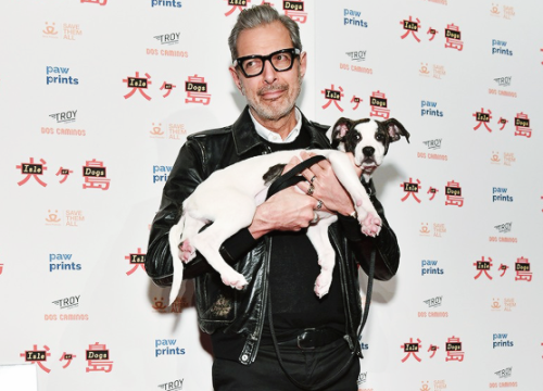 high-fructose-lesbianism:Jeff Goldblum cuddles a puppy at the Isle of Dogs premiere, March 20, 2018 