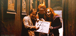 weasleyismygingerhairedking:   
