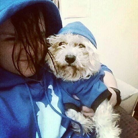 Twinning. Aunty Jenny said I wasn’t hairy enough, so i added some hair. #mumsotherson #wocky #rocky #dog #dogsofig #dogsofinstagram #instapup #instapuppy #pet #twinning #hoodies #bluehoodie