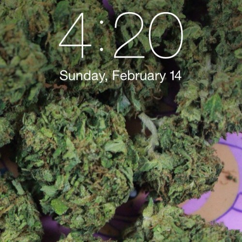 weedporndaily:  Happy 4:20 #happy420 #weedporndaily #stayregular #superstoners by @therealwpd