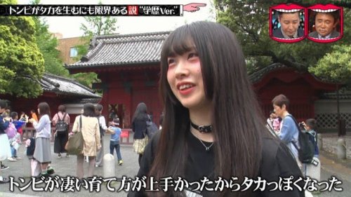 irregular-expression:  (via 🍚🍚🍚さんはTwitterを使っています: 「中卒の父をもつ東大生から「トンビがタカを生む」ということわざについての一言が熱い #水曜日のダウンタウン https://t.co/QuNw7AwmpQ」