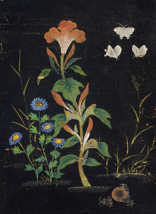 Shin Saimdang, Picture of Insects and Grass No. 2, 16th century.