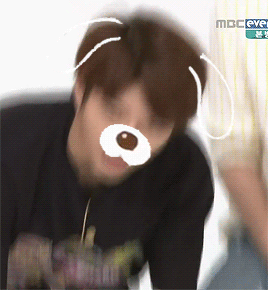 inpiniteu:puppy (filter) woohyun